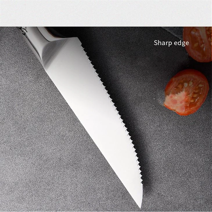 DS-2966 Stainless Steel Steak Knife 6-piece set Kitchen Knives-14